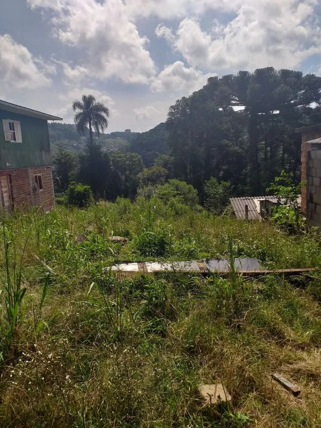 Terreno 