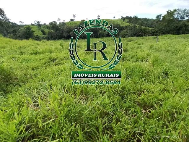 Chácara/Fazenda 11 alqueires  Próximo a Palmas - Foto 3