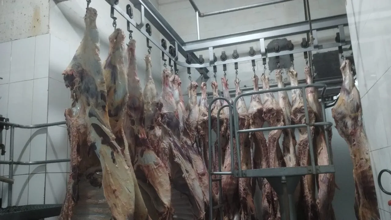 Ajudante para separação de carnes