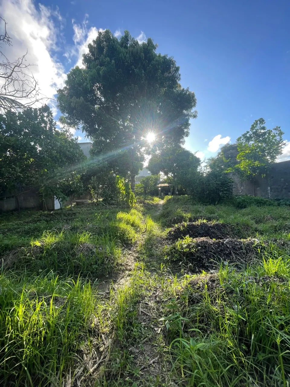 Terreno/Sítio na Várzea
