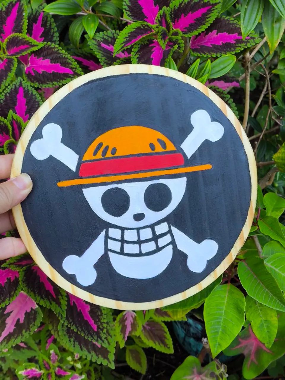 Quadro Decorativo One Piece