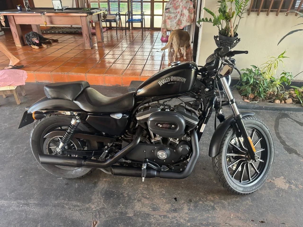Harley Davidson XL 883 - Foto 5