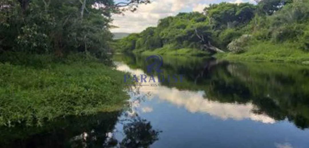 Fazenda, Zona Rural, Morro do Chapéu - R$ 2 mi, Cod: 68638 - Foto 4