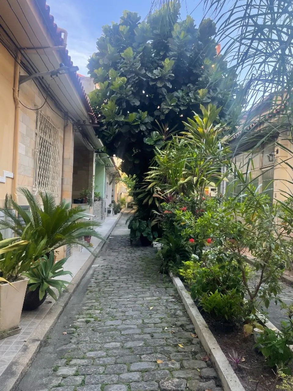 Foto - Rio de Janeiro - Vila Isabel