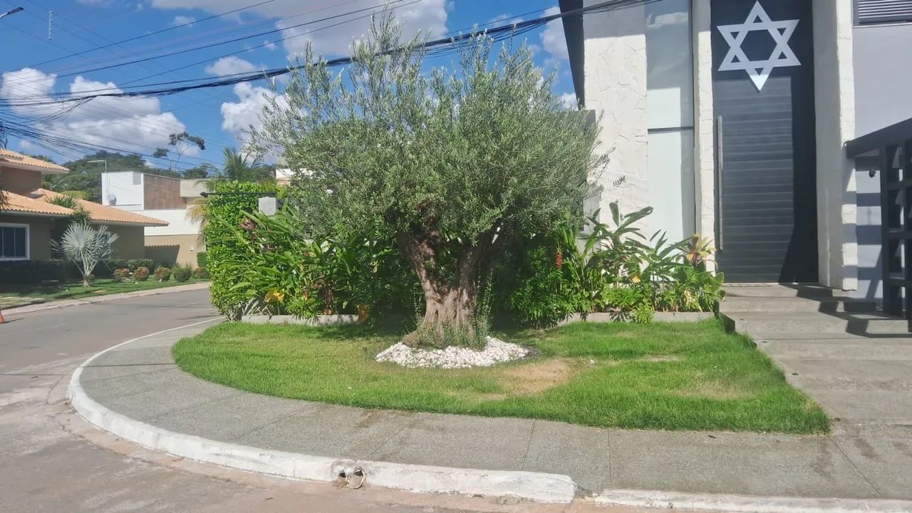 Jardinagem gramado poda , limpeza de terrenos  - Foto 2