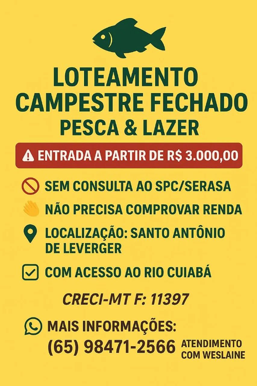 GRANDE PROMOÇÃO 