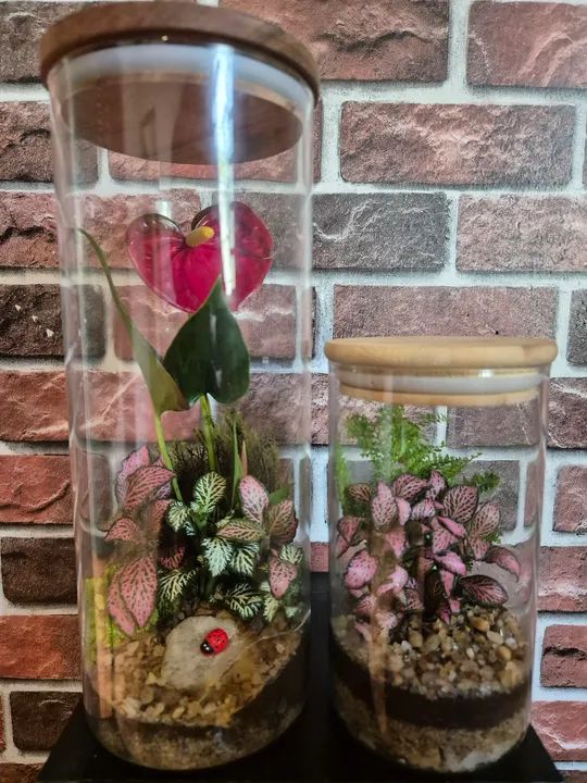 Jardim de Vidro - Miniatura Criativa - Foto 2