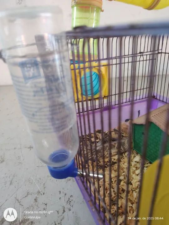 Gaiola para hamster com túnel - Foto 2