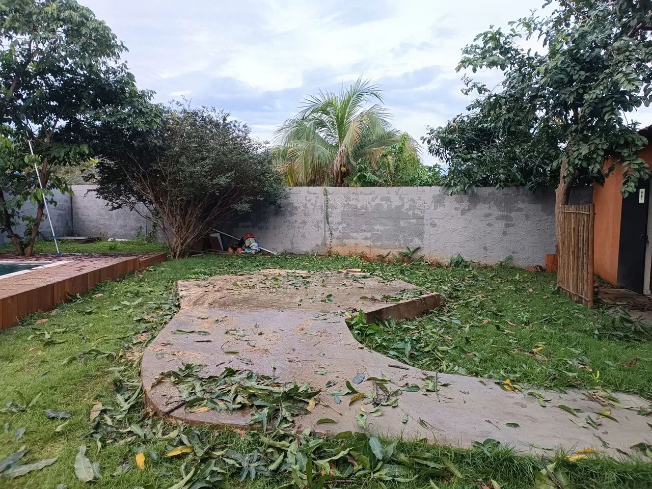 Serviços de poda e retirada de árvores - Foto 5