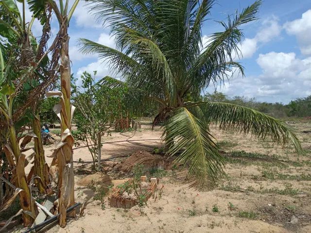 Linda Granja em Vera Cruz com 50 por 60 lugar top para viver - Foto 5