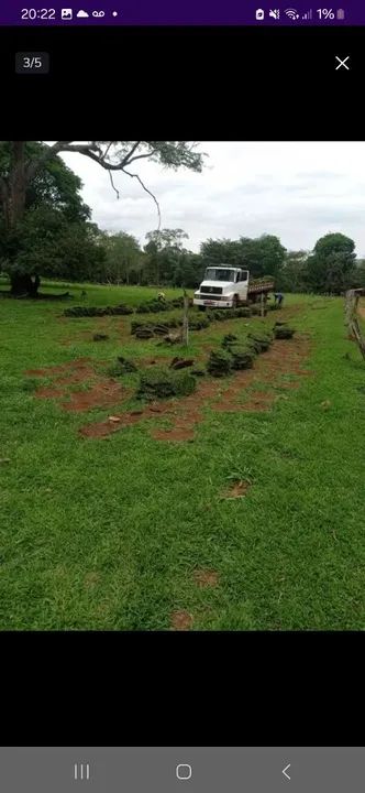 GRAMA BATATAIS QUALIDADE  - Foto 2