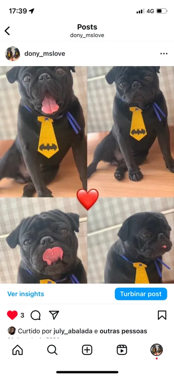 Pug com Gravata
