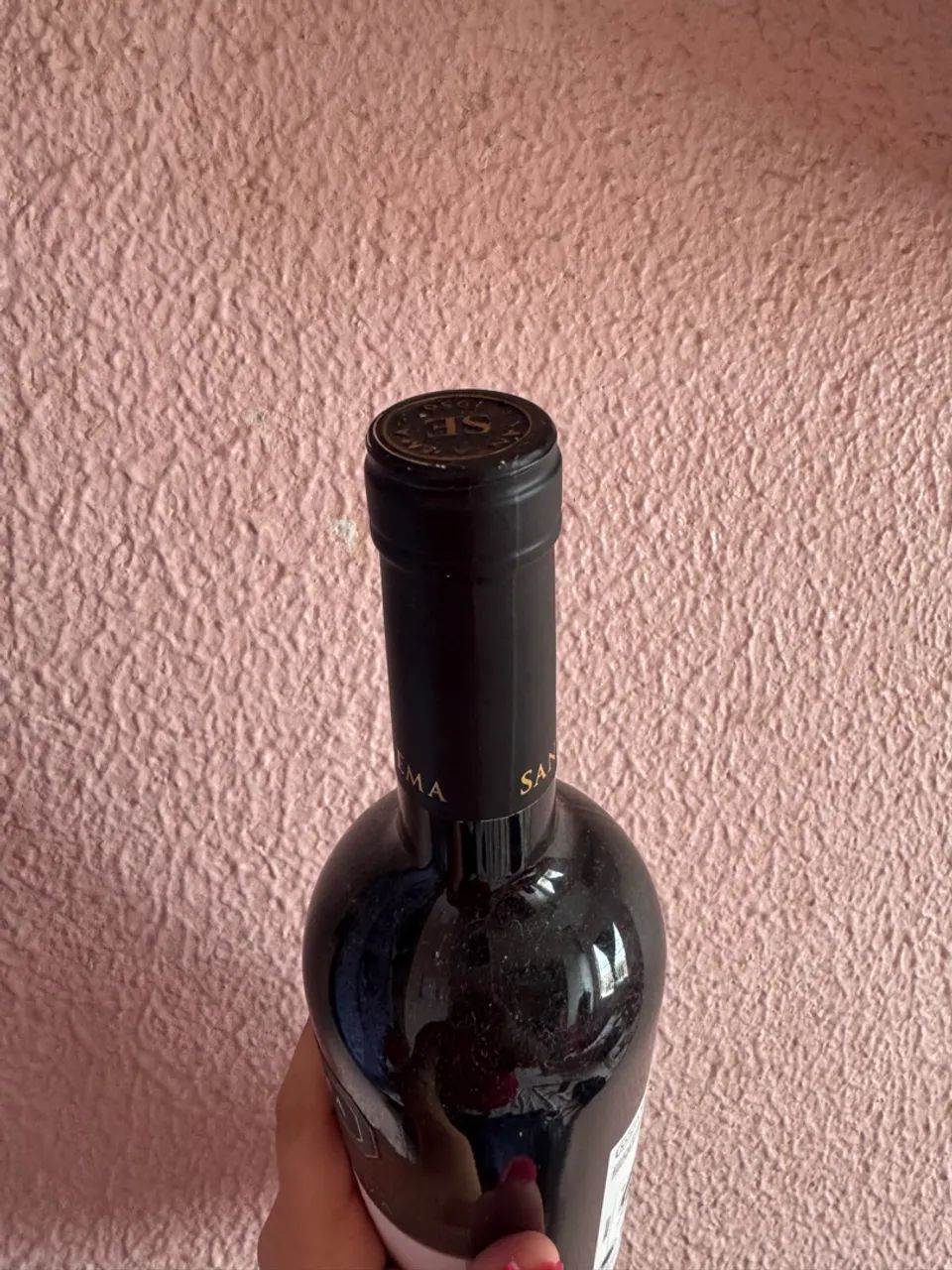 Vinho Santa Ema Gran Reserva Carmenere 2022 - Foto 2