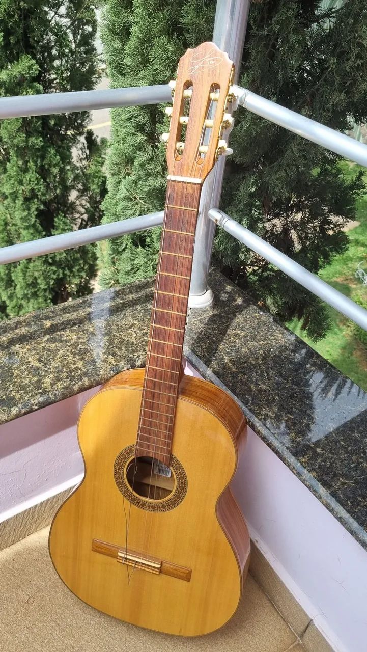 Violão usado manual marcar Giannini.