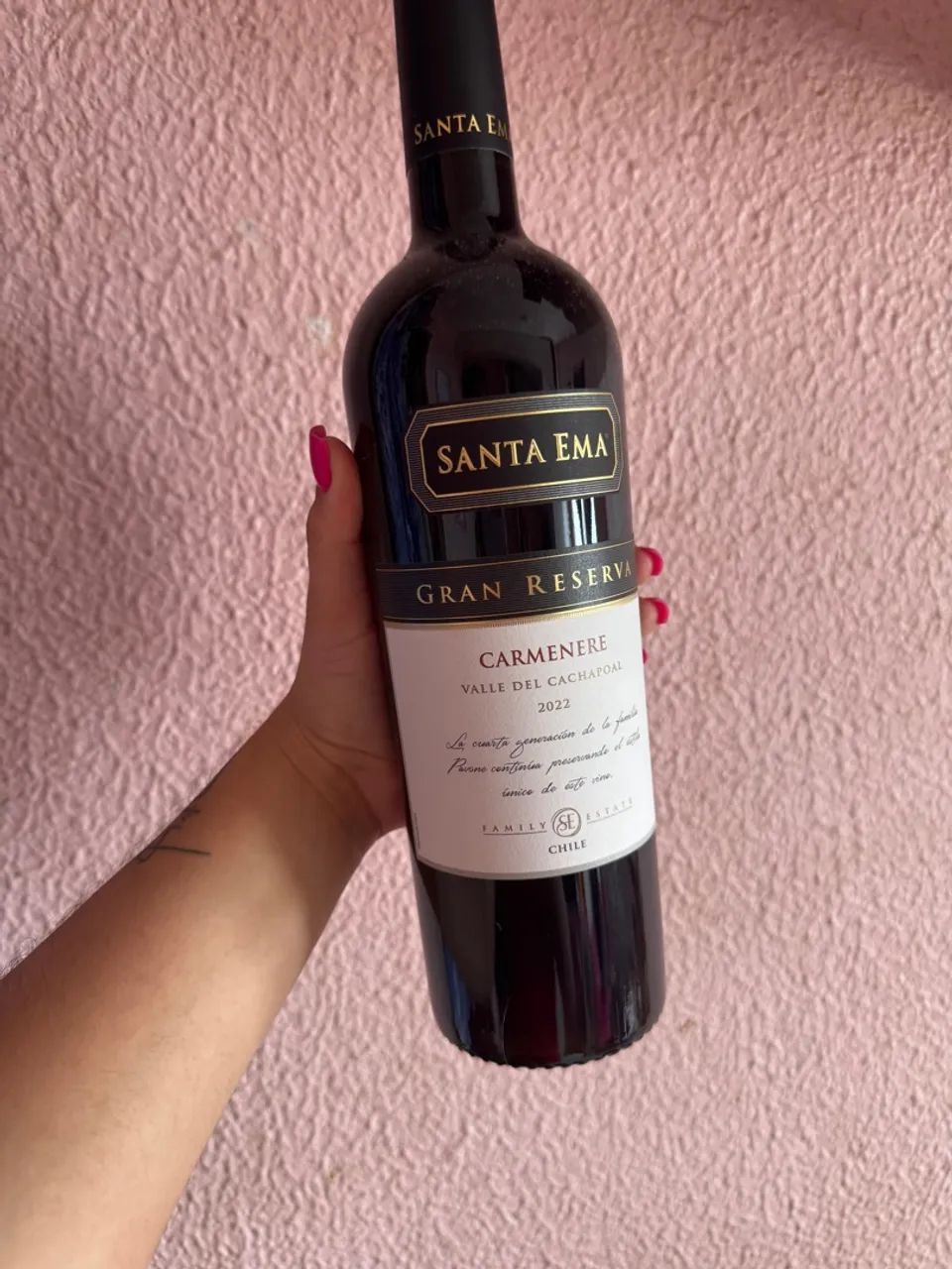 Vinho Santa Ema Gran Reserva Carmenere 2022