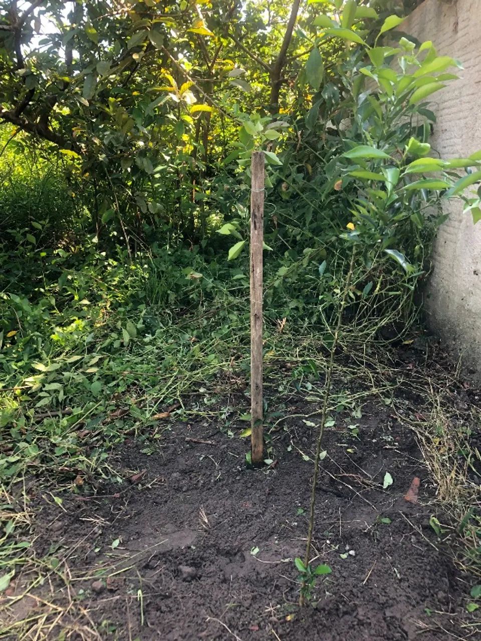 Terreno em Cabo Frio  - Foto 3