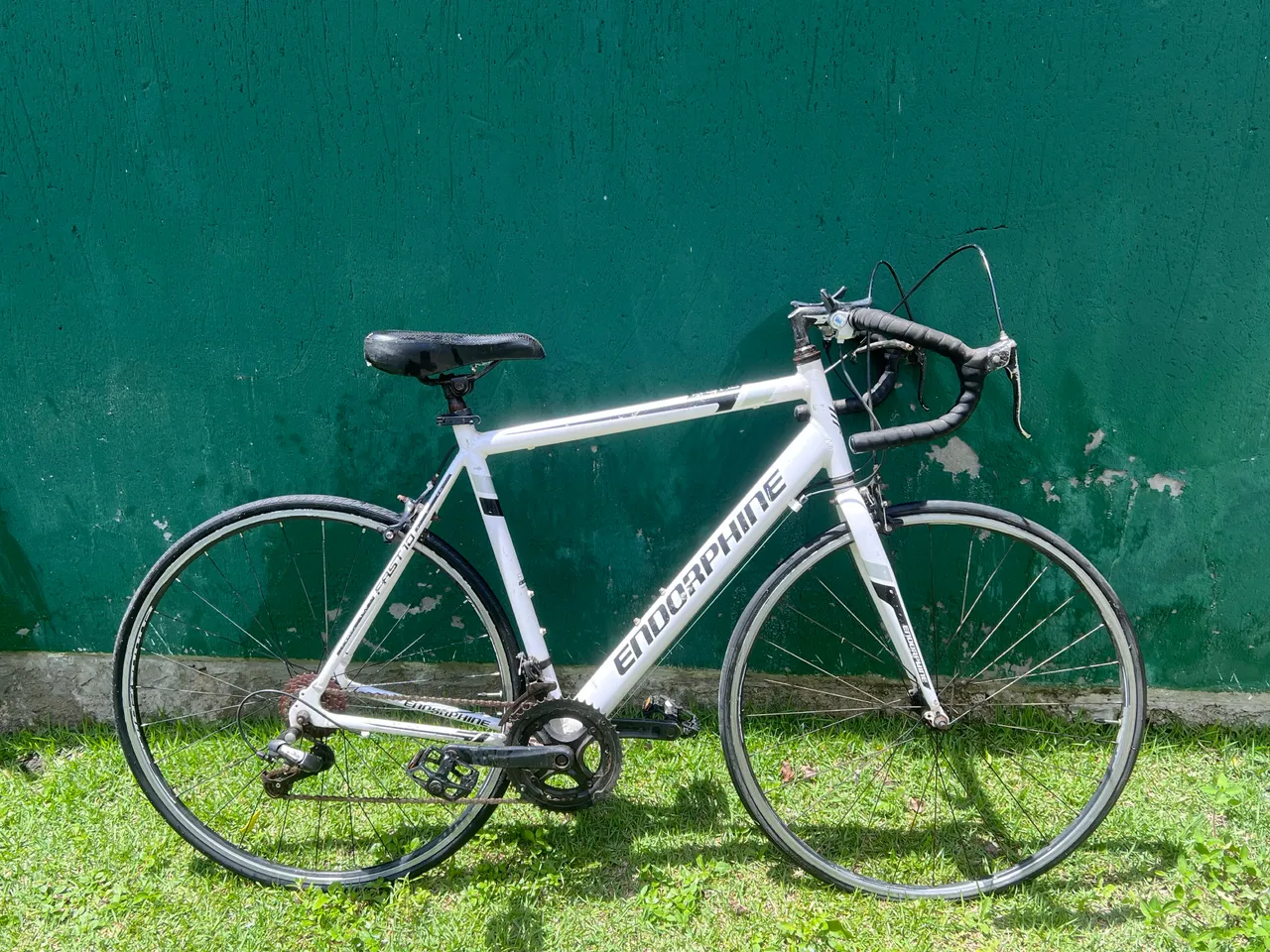 Bicicleta Endorphine Bike Endorphine Fast 20 Bike Speed Endorphine