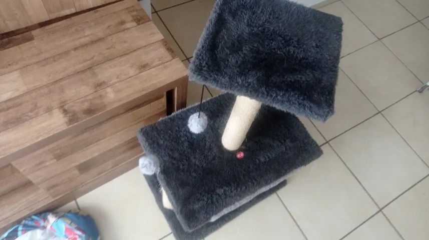 Arranhador e Toca para Gatos - Foto 4