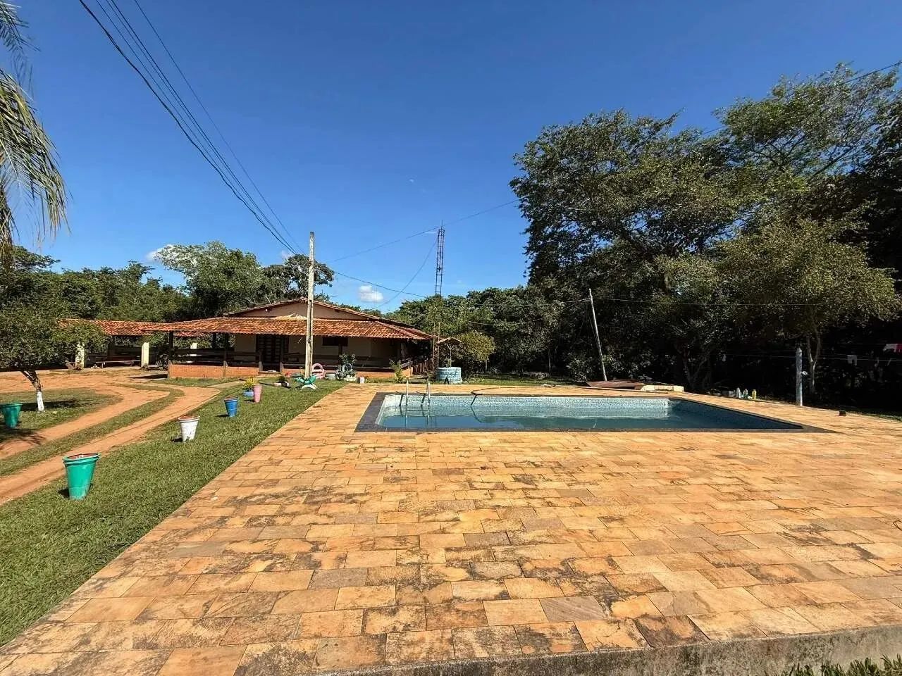 Fazenda com 2,8km de Riberão Maquine - Foto 5