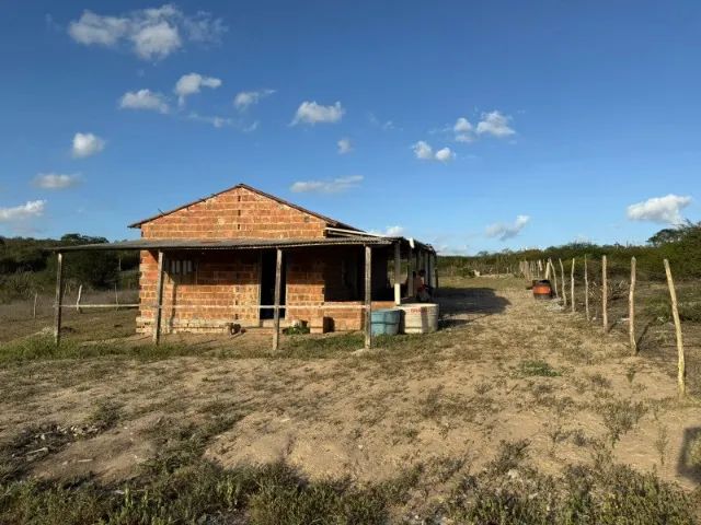 Sitio em Mares Preto  - Foto 5