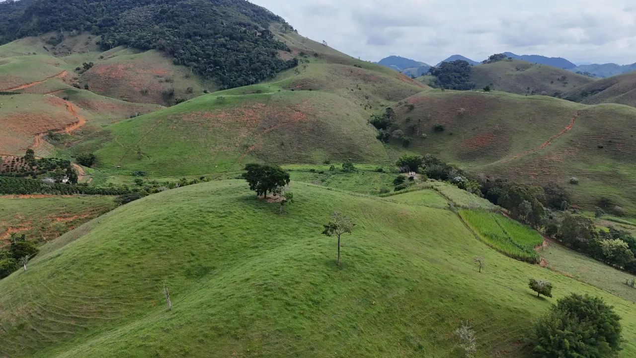 Fazenda Café em Rosal - Foto 3