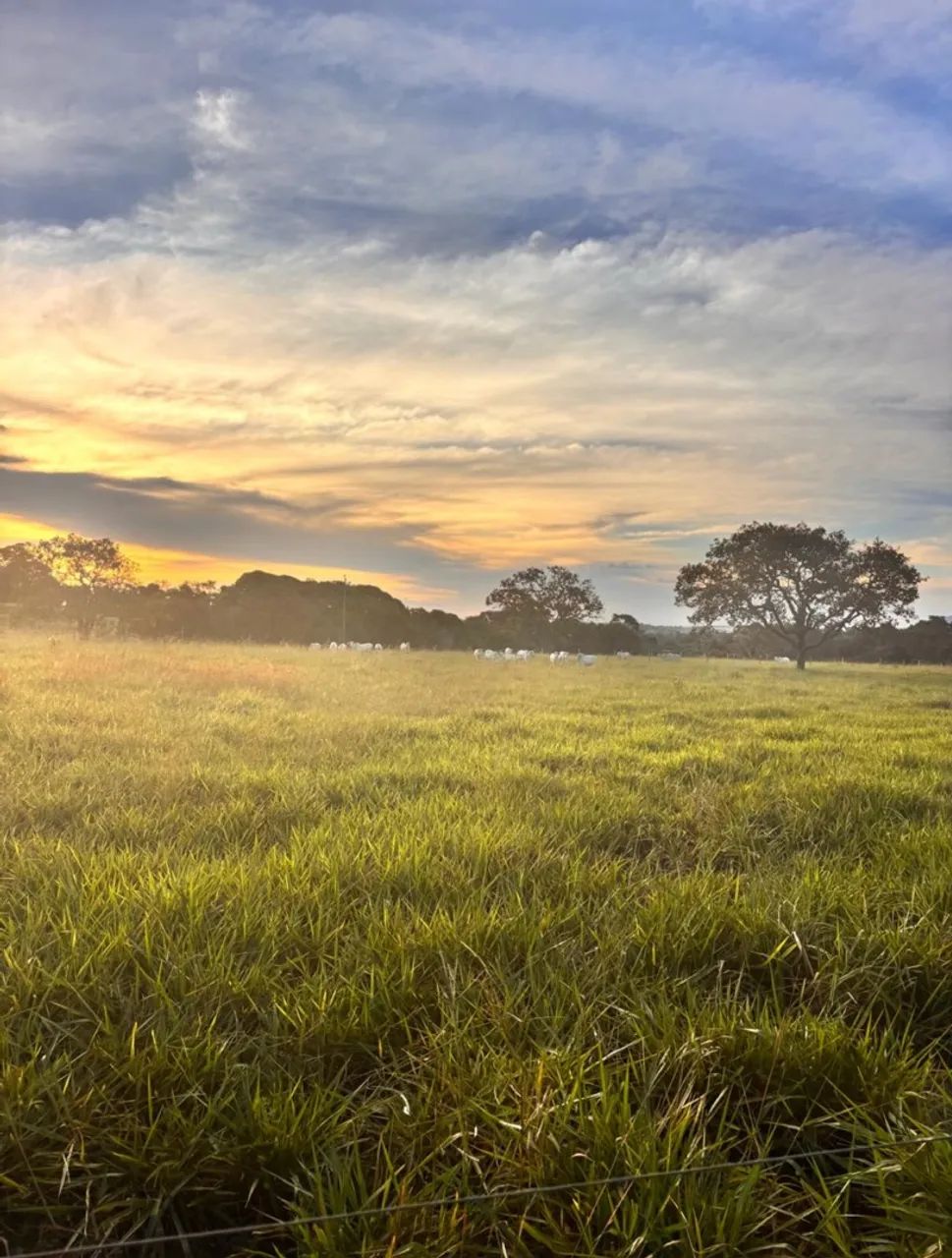 Fazenda extra - Foto 4