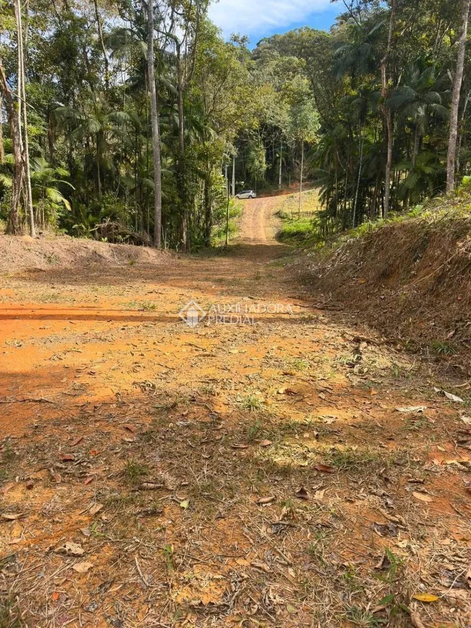 Sítio com cachoeira - Foto 3