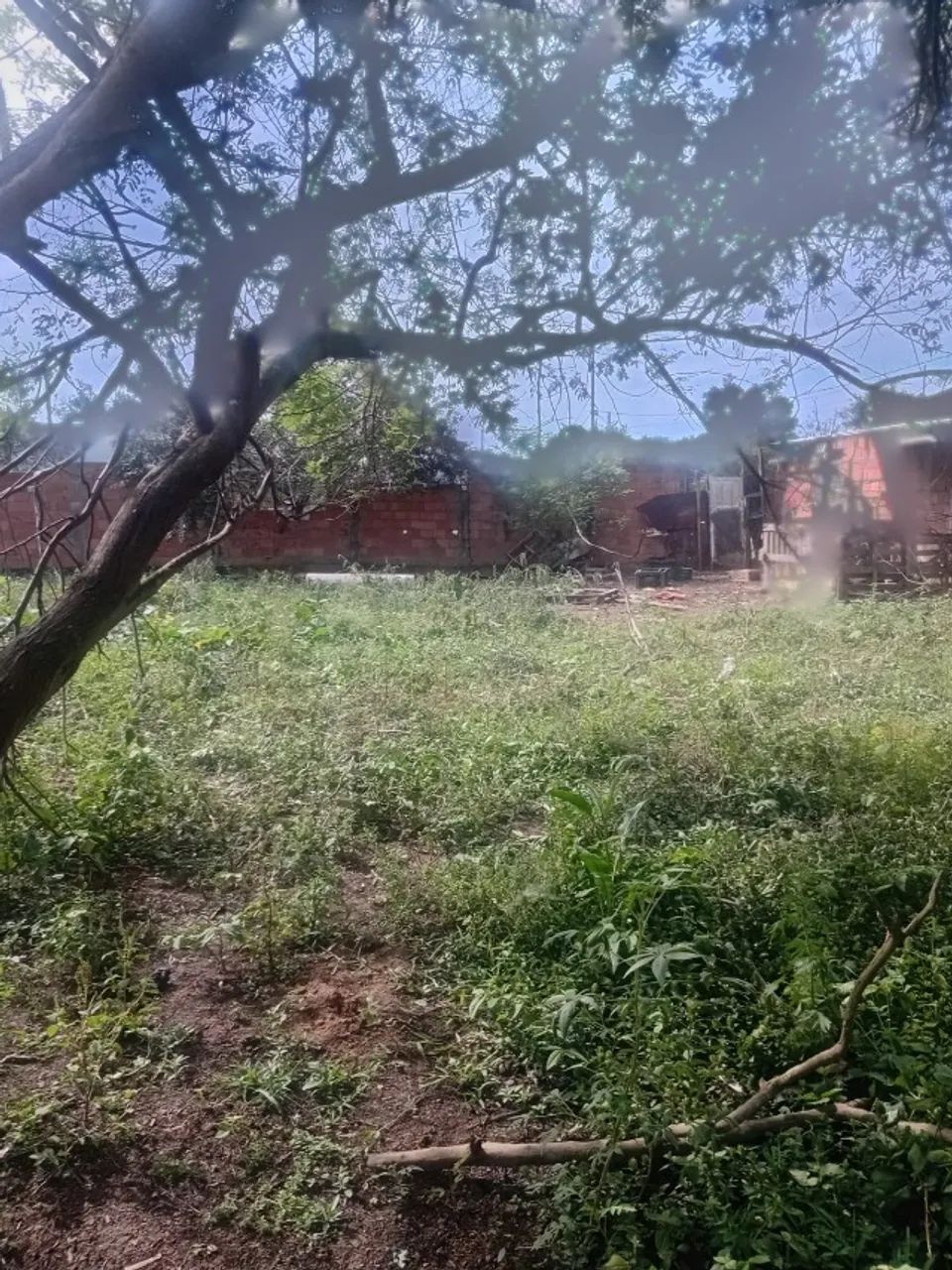 Terreno com área de 750 metros todo murado - Foto 5