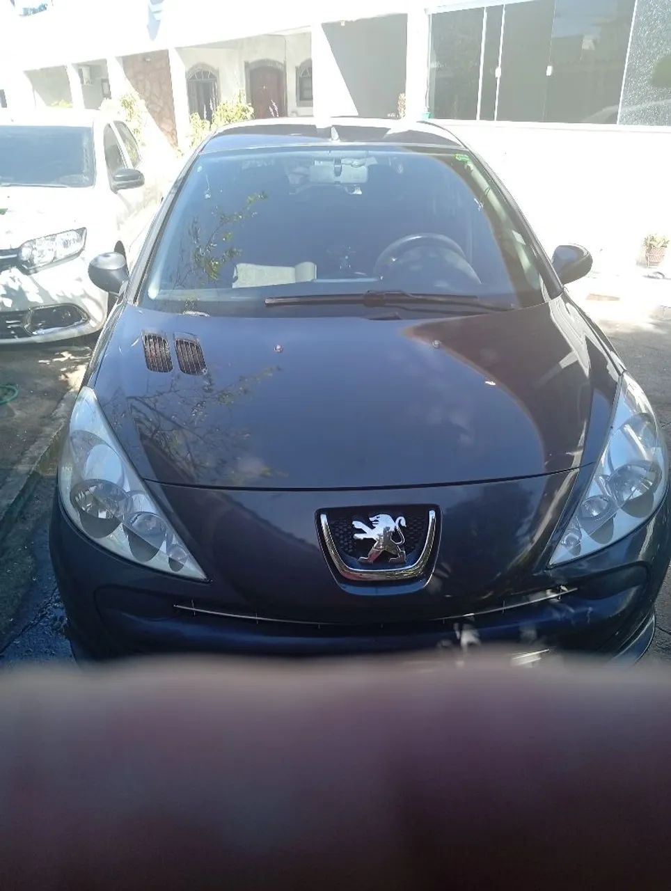 Peugeot 207 207 XR 1.4 Flex 8V 3p 2011