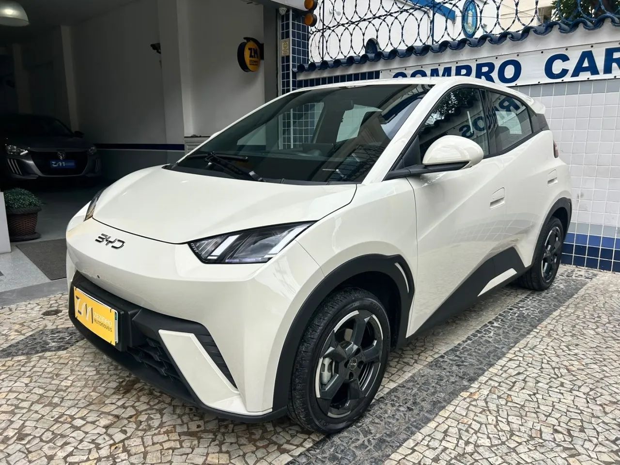 BYD Dolphin GS (Elétrico) 2025