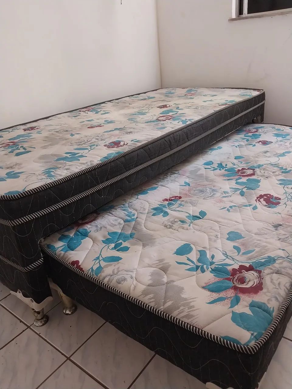 Bicama  - Foto 3