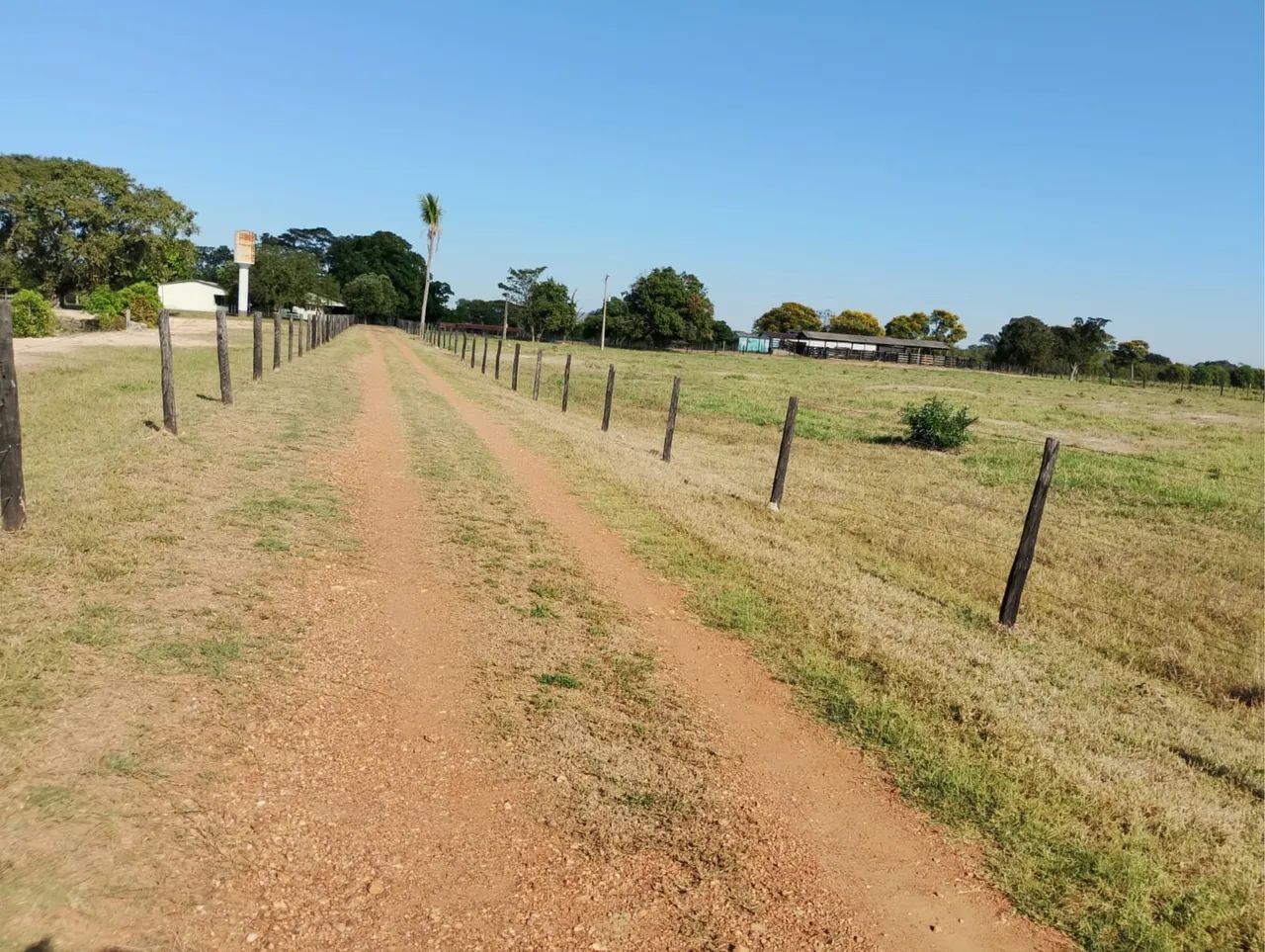 FAZENDA ESPETACULAR PERTO CUIABÁ  - Foto 3