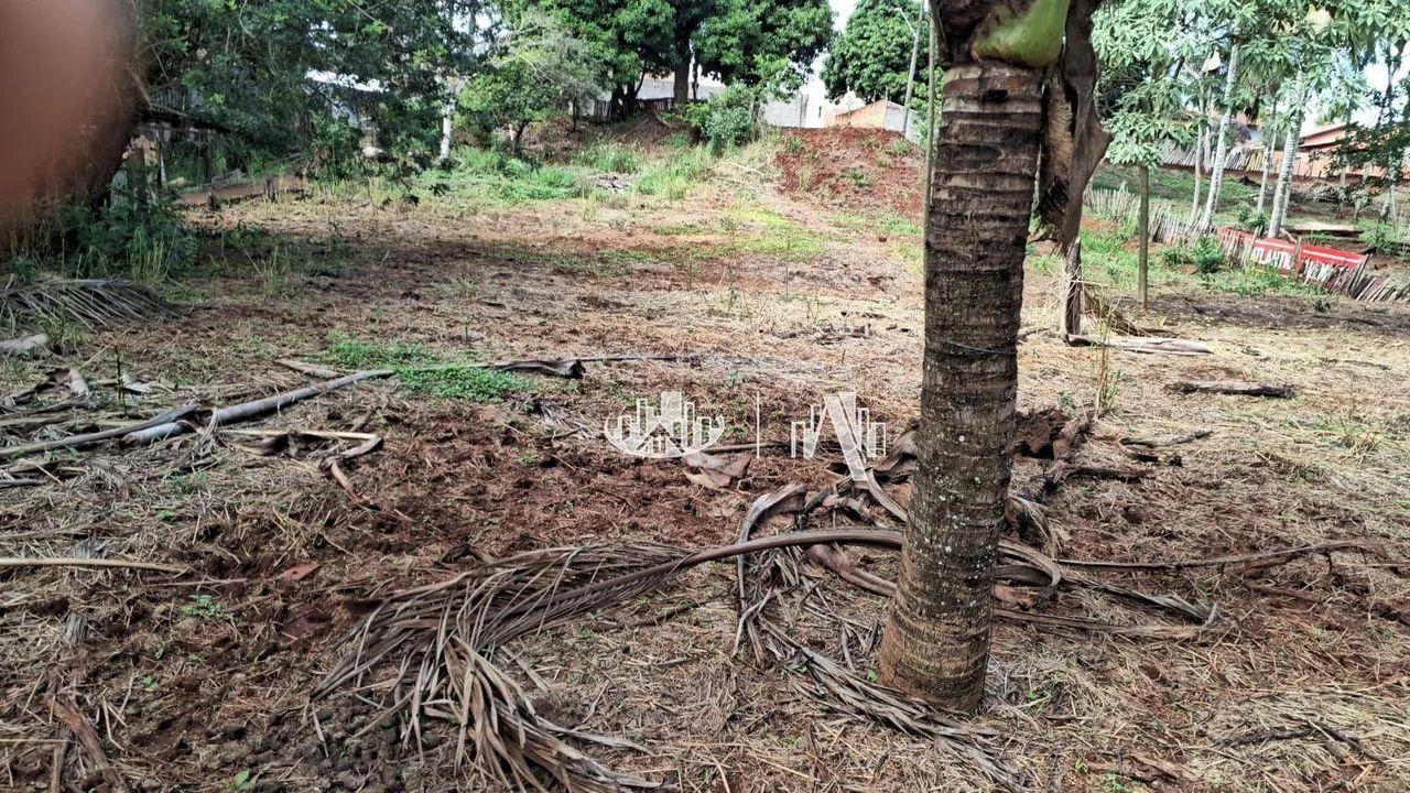 Chácara à venda, 3334 m² por R$ 1.500.000,00 - Vale dos Tucanos - Londrina/PR - Foto 8