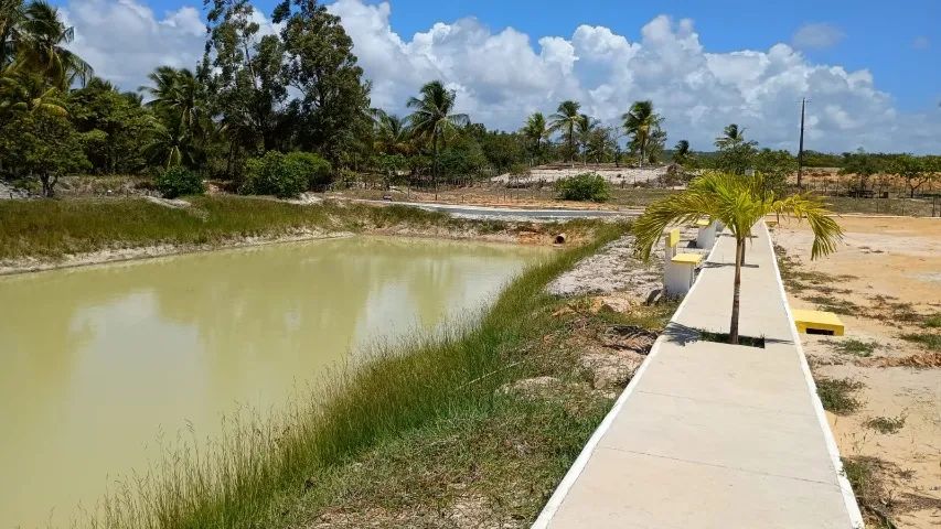 Terreno em Lagoa Redonda  - Foto 2