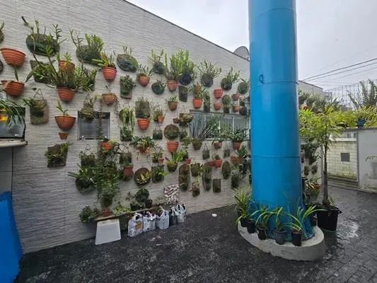 Capoeiras - Prédio Comercial e Residencial, na Rua Prefeito Dib Cherem. - Foto 5