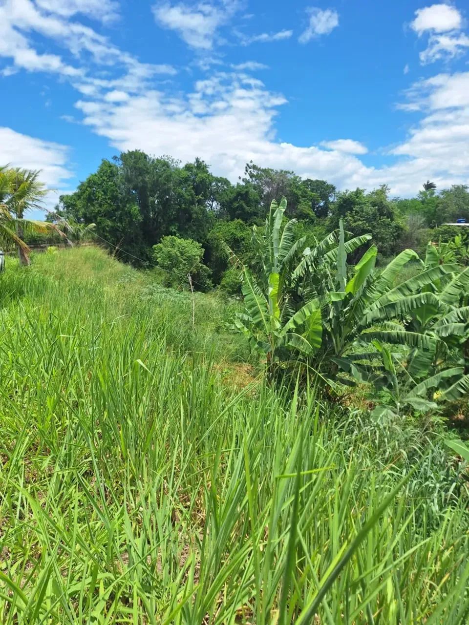 área para chácara com 2.500m²