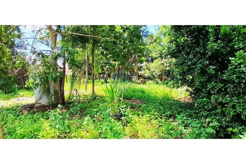 A VENDA CHACARA PARAISO - Foto 2