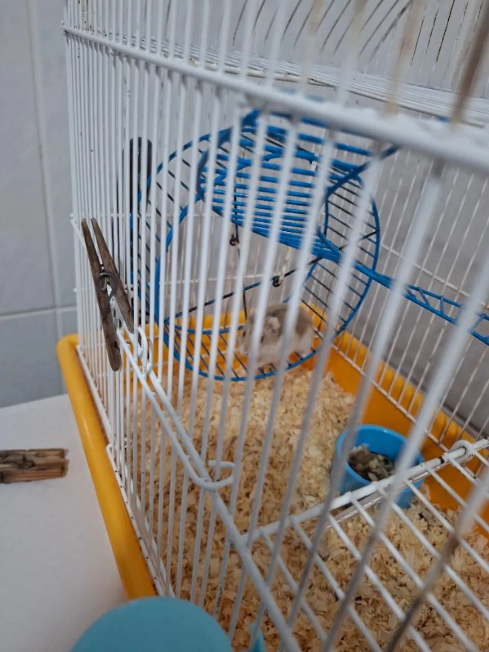 Hamister  - Foto 3