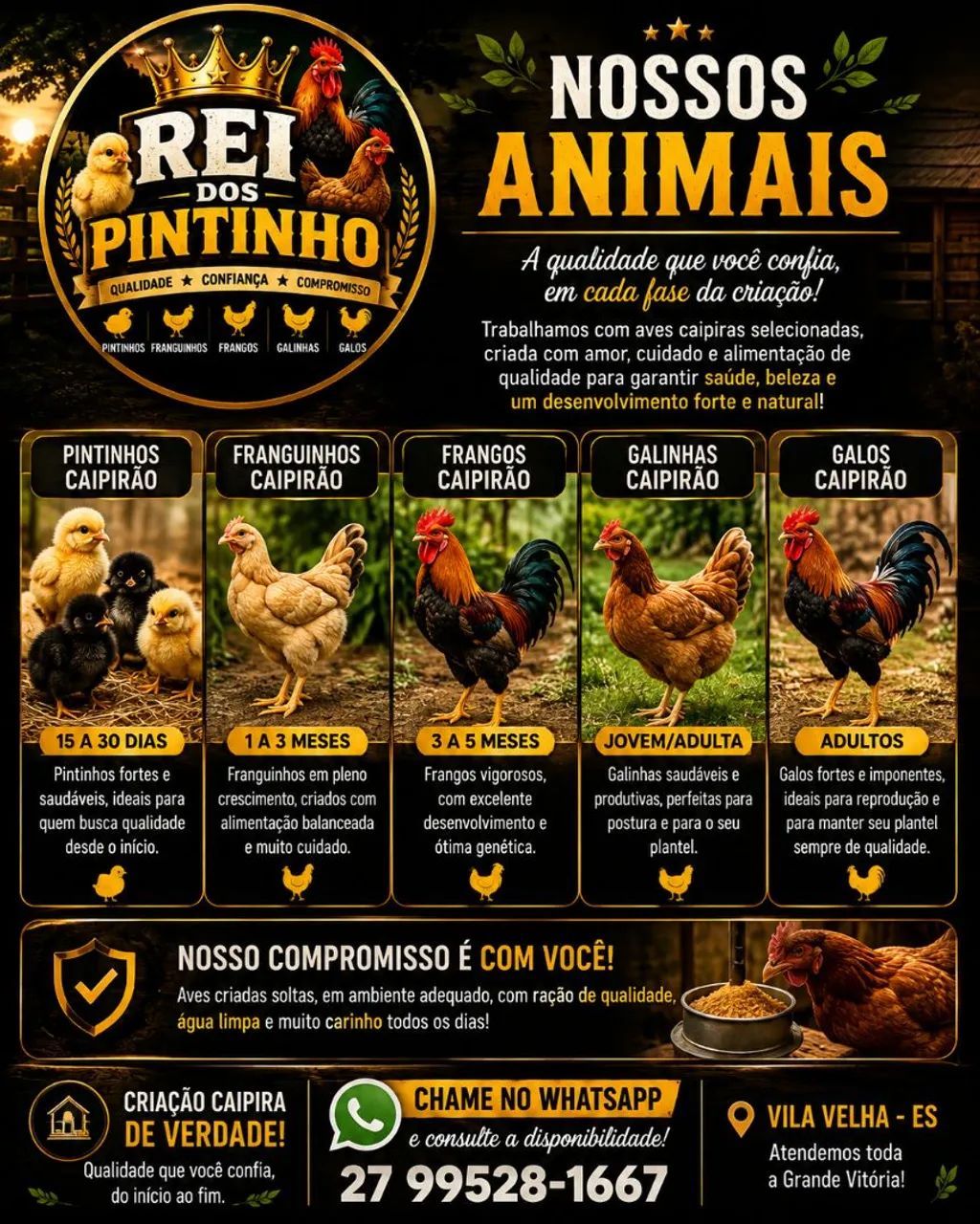 PINTINHOS, FRANGUINHOS, FRANGOS, GALINHAS E GALOS CAIPIRAS! - Foto 4