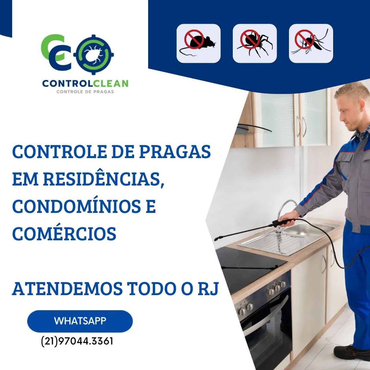 Dedetização  - Foto 3