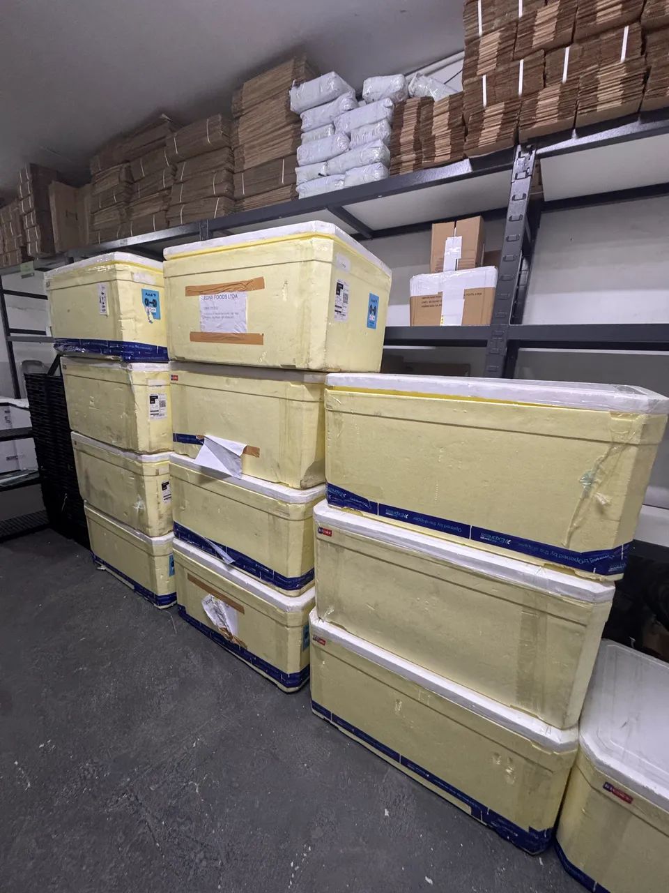 Caixa grande de isopor -  Cooler transportes aviário - Foto 5