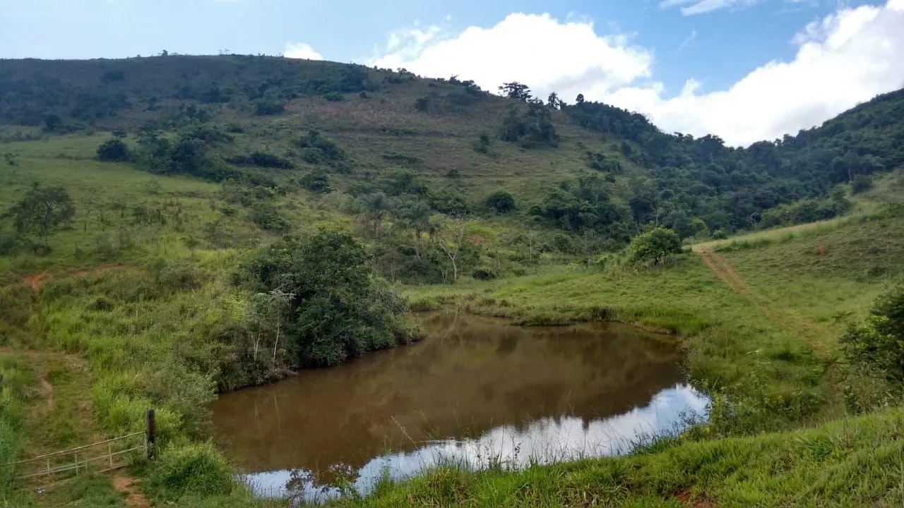 Sitio em Simão Pereira 