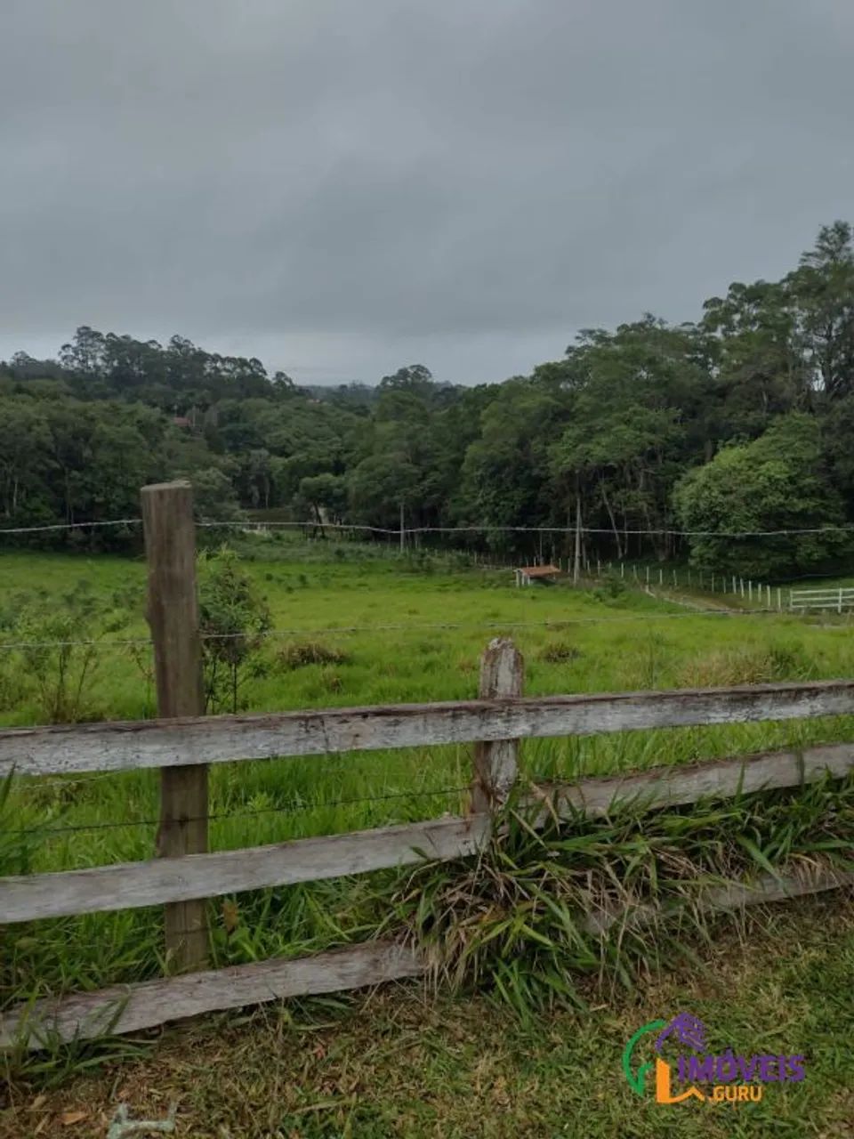 SÍTIO - FEITAL - SP - Foto 4