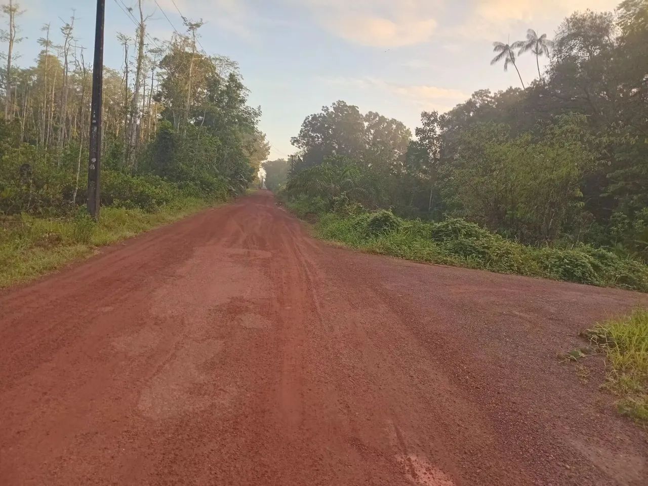 Vende-se sítio  - Foto 5