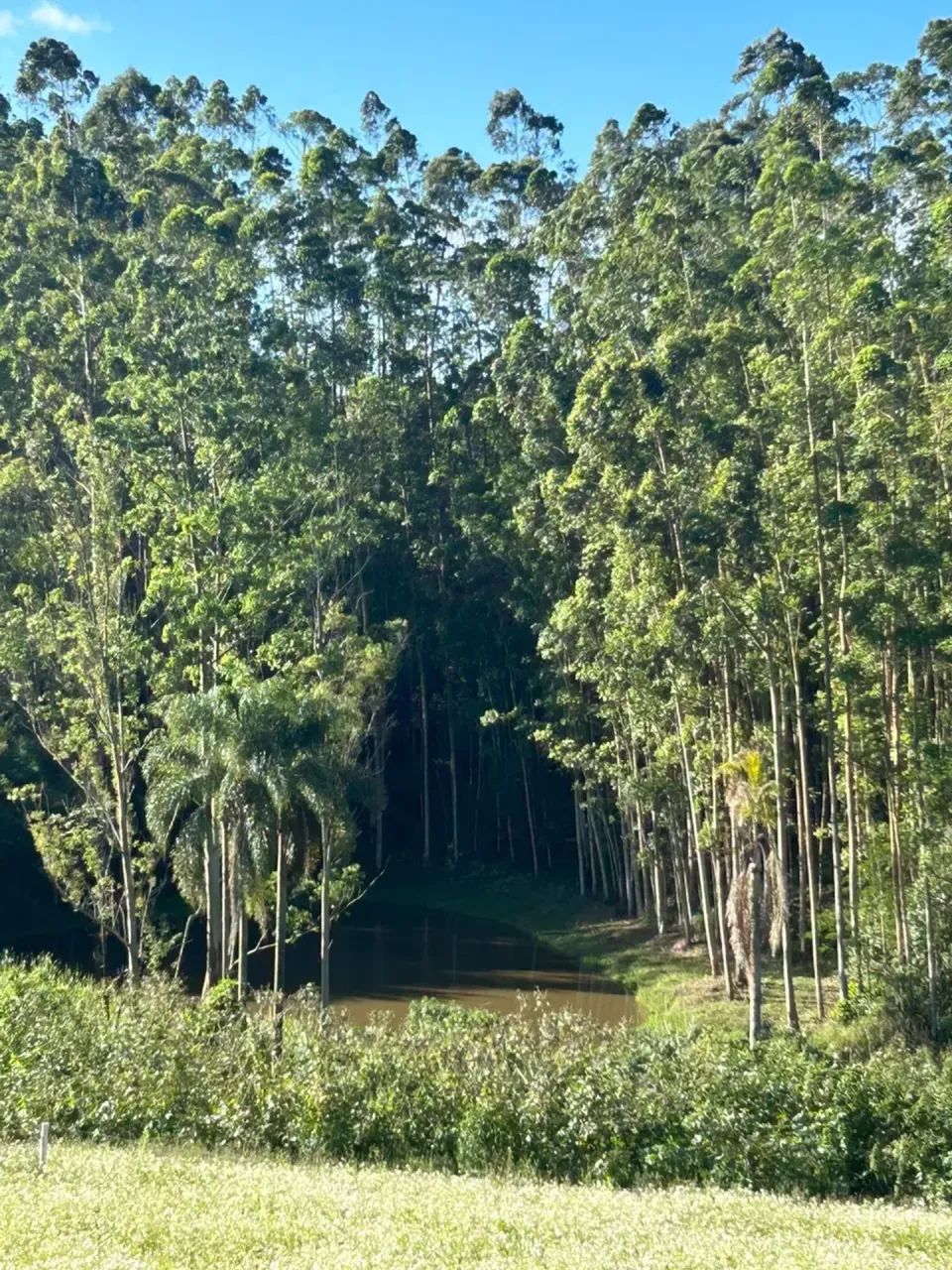 O lugar ideal para construir começa aqui - Foto 4