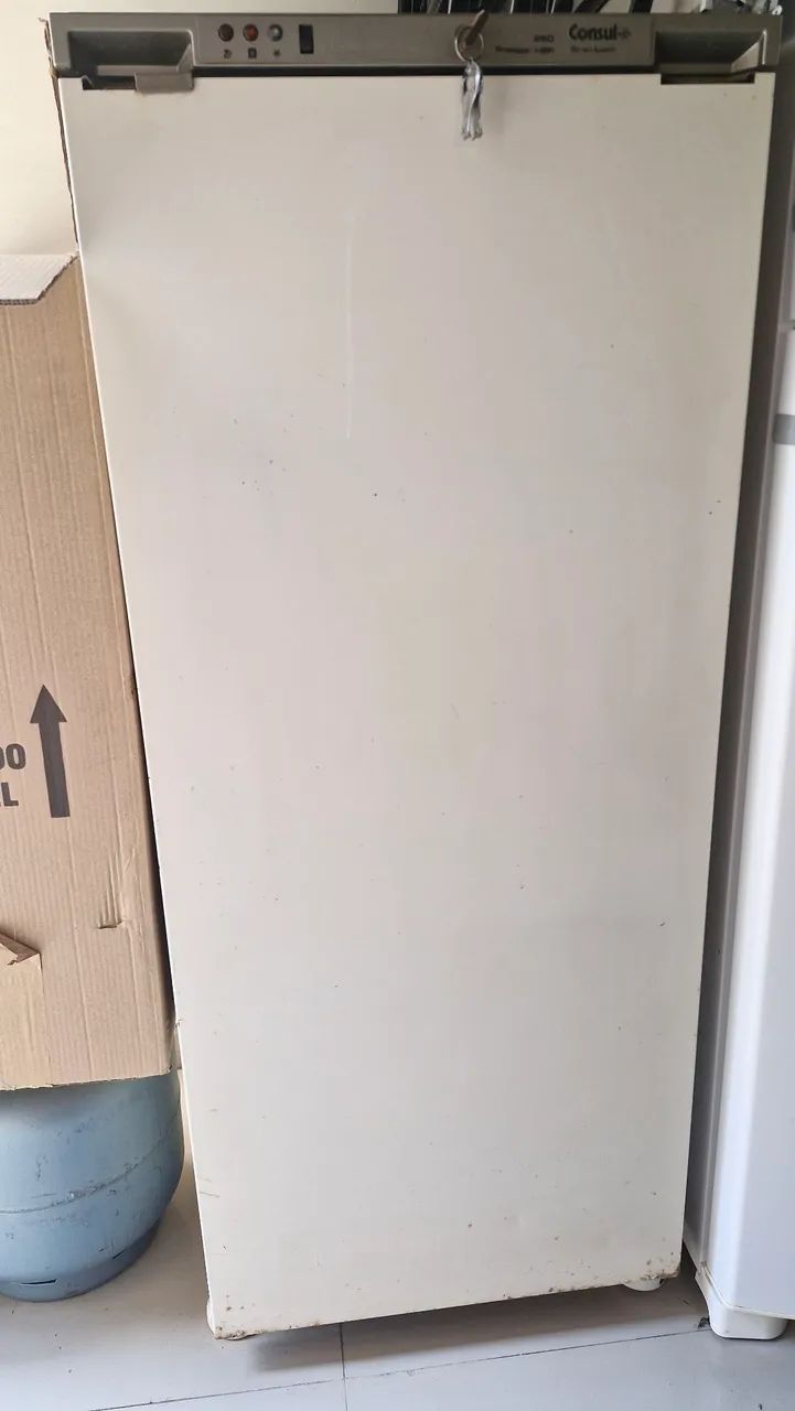 FREEZER VERTICAL