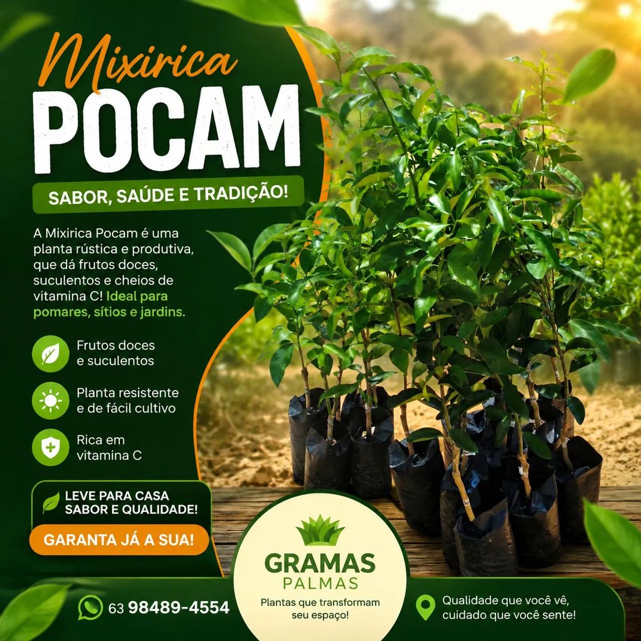 Gramas Palmas 
