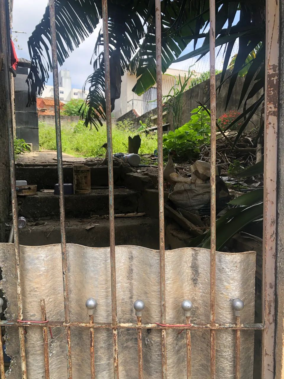 Vendo ou Alugo Terreno - Foto 2