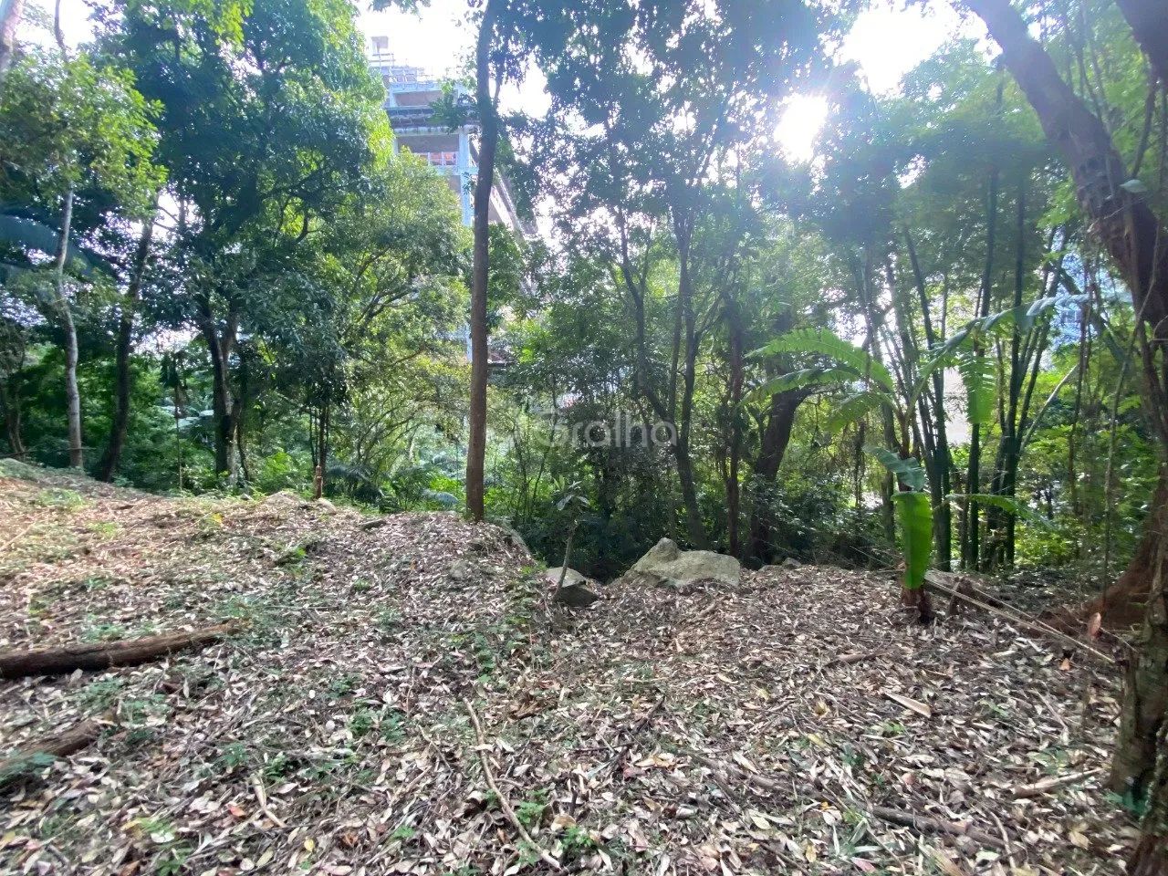 Terreno de 1.500m² no Pantanal - Foto 2