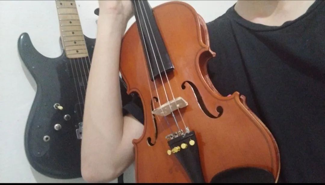 Violino